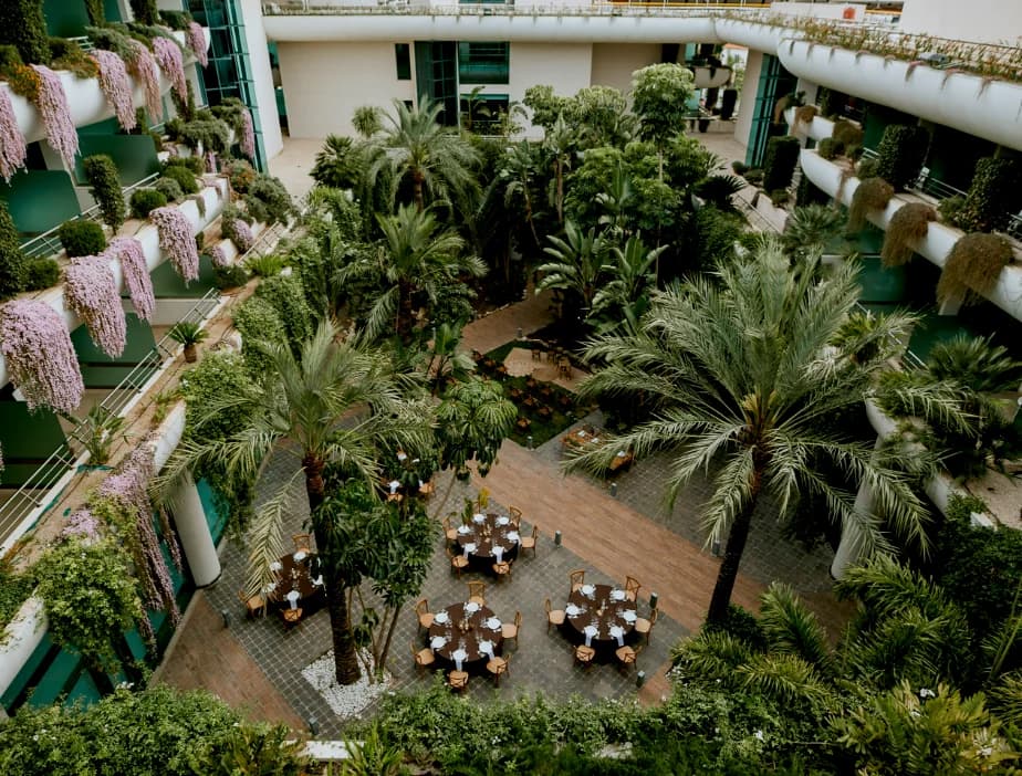 Tropical garden